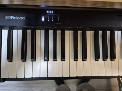 ROLAND F10